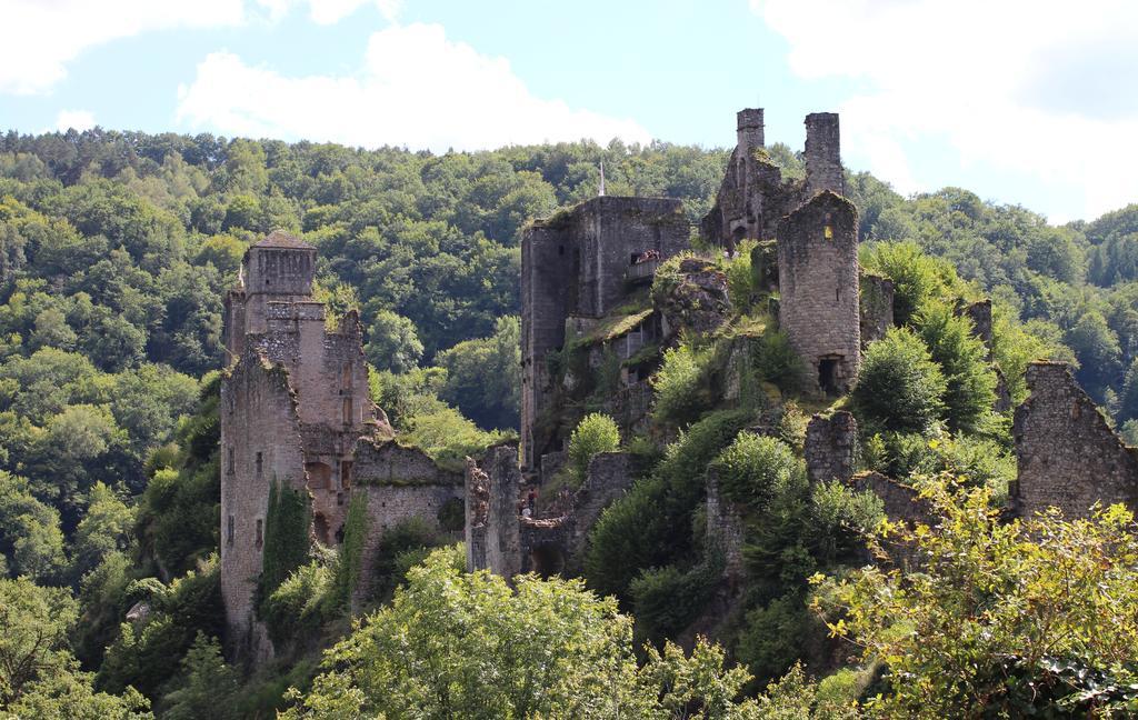 Gite De La Genevriere Saint-Chamant 外观 照片
